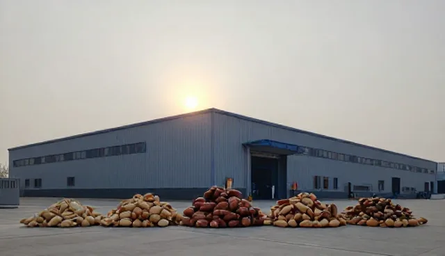 龙岗网站建设如何优化网络性能